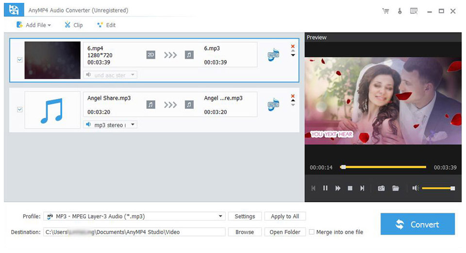 AnyMP4 Audio Converter